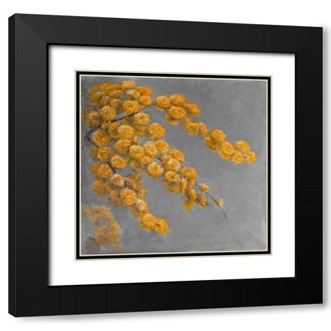 Golden Wattle Plant with Flowers Black Modern Wood Framed Art Print with Double Matting by Atelier B Art Studio