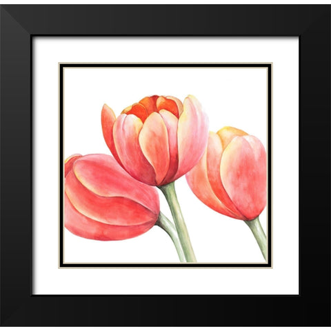 THREE TULIPS CLOSEUP Black Modern Wood Framed Art Print with Double Matting by Atelier B Art Studio