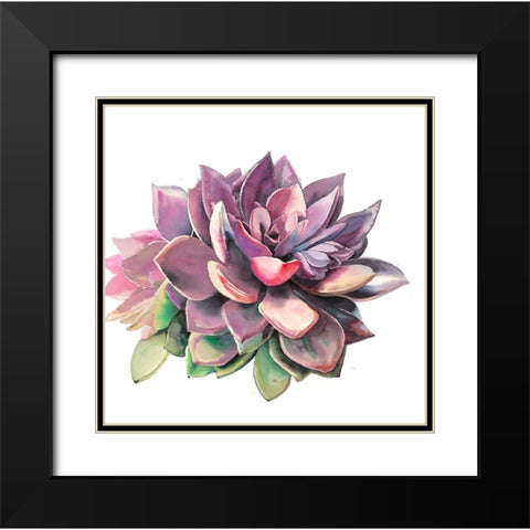 SUCCULENT Black Modern Wood Framed Art Print with Double Matting by Atelier B Art Studio