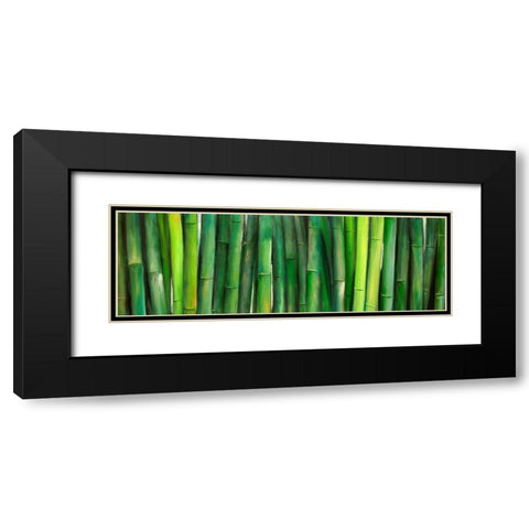 Green Bamboo Black Modern Wood Framed Art Print with Double Matting by Atelier B Art Studio