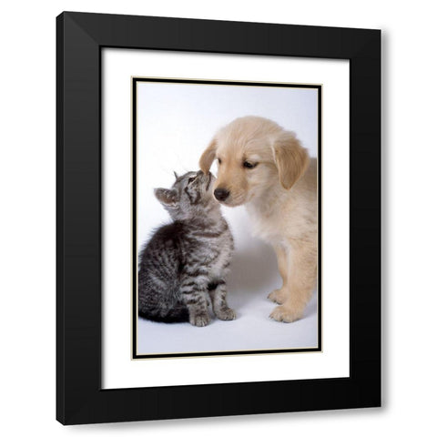 True love Black Modern Wood Framed Art Print with Double Matting by Hoenderkamp, Patrick