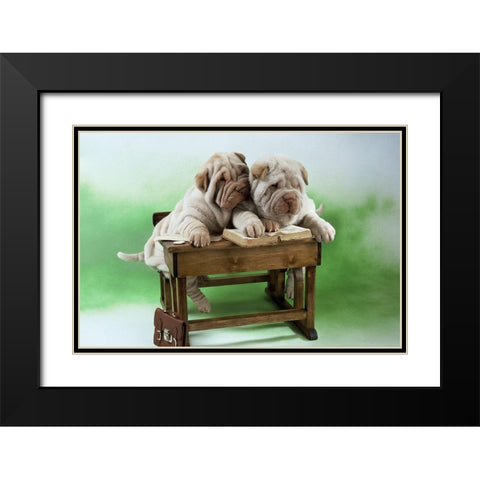 University dogs Black Modern Wood Framed Art Print with Double Matting by Hoenderkamp, Patrick