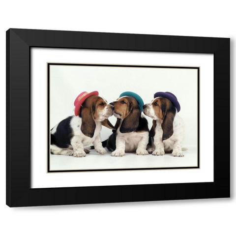 Party dogs Black Modern Wood Framed Art Print with Double Matting by Hoenderkamp, Patrick