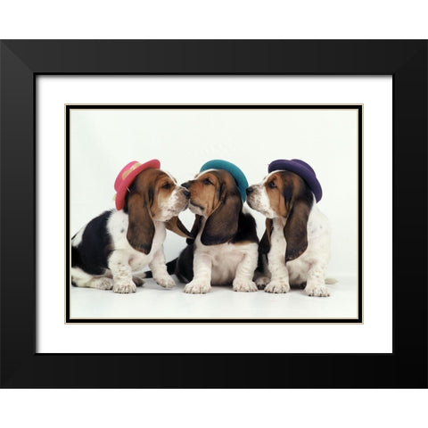 Party dogs Black Modern Wood Framed Art Print with Double Matting by Hoenderkamp, Patrick
