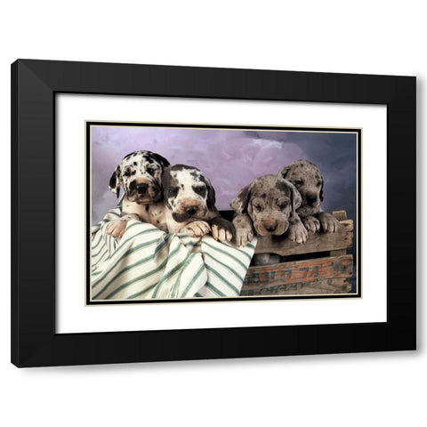 We are family Black Modern Wood Framed Art Print with Double Matting by Hoenderkamp, Patrick