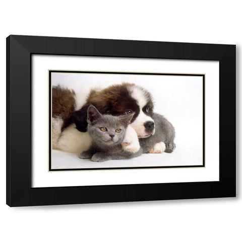 real love Black Modern Wood Framed Art Print with Double Matting by Hoenderkamp, Patrick