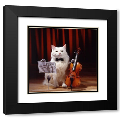 Violin cat Black Modern Wood Framed Art Print with Double Matting by Hoenderkamp, Patrick