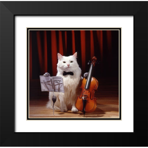 Violin cat Black Modern Wood Framed Art Print with Double Matting by Hoenderkamp, Patrick