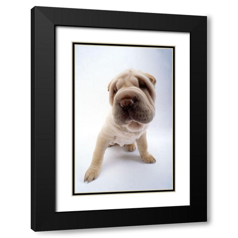 close up Black Modern Wood Framed Art Print with Double Matting by Hoenderkamp, Patrick