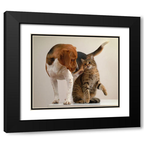 cat and dog Black Modern Wood Framed Art Print with Double Matting by Hoenderkamp, Patrick