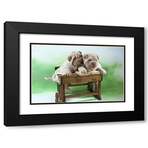 clever dogs Black Modern Wood Framed Art Print with Double Matting by Hoenderkamp, Patrick