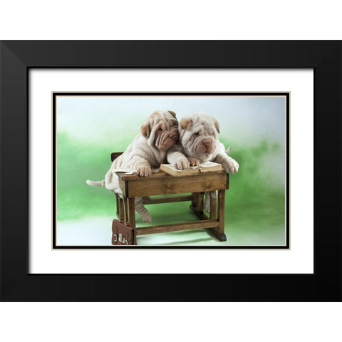 clever dogs Black Modern Wood Framed Art Print with Double Matting by Hoenderkamp, Patrick