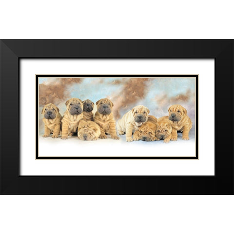 Puppies Black Modern Wood Framed Art Print with Double Matting by Hoenderkamp, Patrick