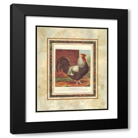 Rose-Combed Dorking Cock, Cassells Poultry Book Black Modern Wood Framed Art Print with Double Matting by Ludlow, J.W.