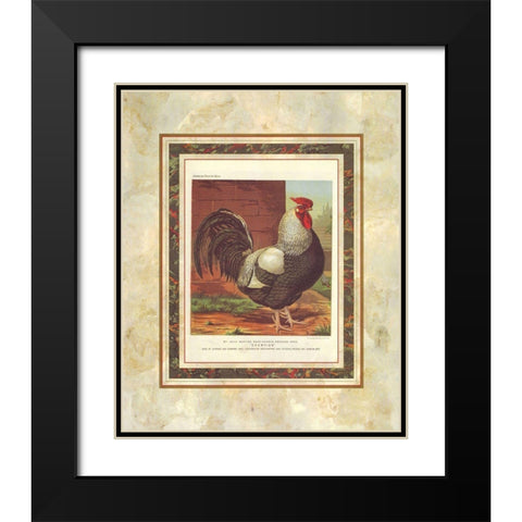 Rose-Combed Dorking Cock, Cassells Poultry Book Black Modern Wood Framed Art Print with Double Matting by Ludlow, J.W.