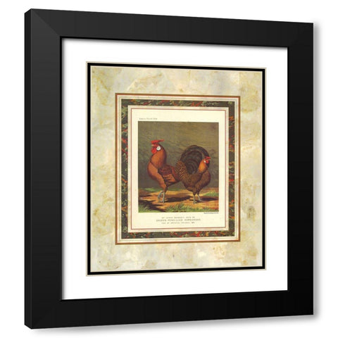 Golden Pencilled Hamburghs, Cassells Poultry Book Black Modern Wood Framed Art Print with Double Matting by Ludlow, J.W.