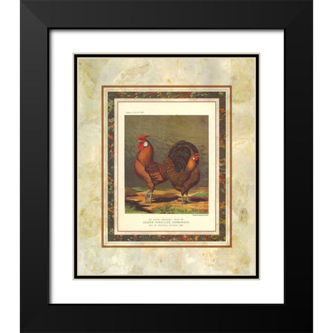 Golden Pencilled Hamburghs, Cassells Poultry Book Black Modern Wood Framed Art Print with Double Matting by Ludlow, J.W.