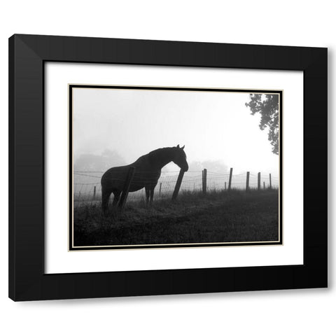 Morning Pasture Black Modern Wood Framed Art Print with Double Matting by Anonymous