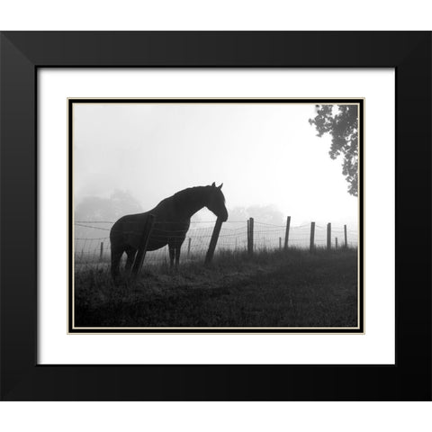 Morning Pasture Black Modern Wood Framed Art Print with Double Matting by Anonymous