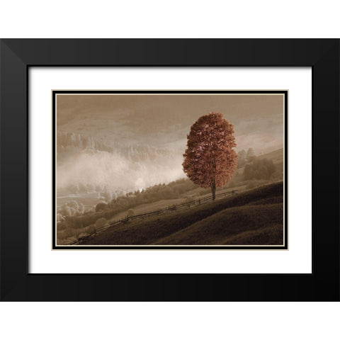 Lovely Mountain Tree Black Modern Wood Framed Art Print with Double Matting by Kotenko, O.