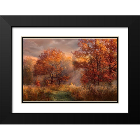 Red Oaks in the Mist Black Modern Wood Framed Art Print with Double Matting by Anonymous