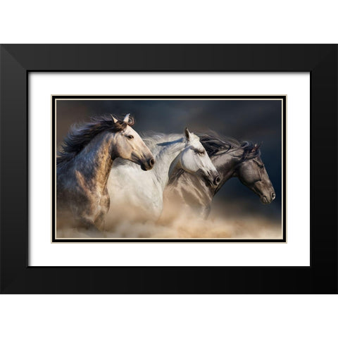 Desert Gallop Black Modern Wood Framed Art Print with Double Matting by Golubenko, S