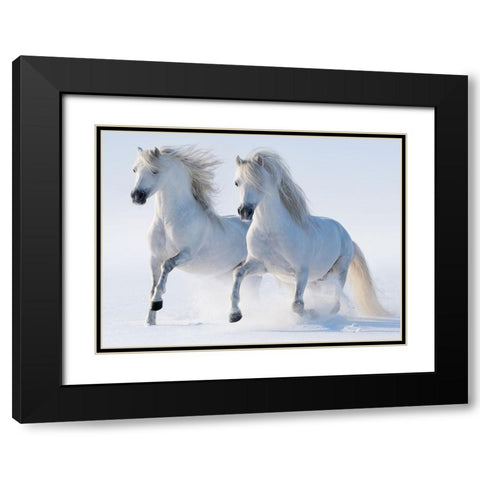 Snow Gallop Black Modern Wood Framed Art Print with Double Matting by Abramova,  K