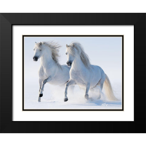 Snow Gallop Black Modern Wood Framed Art Print with Double Matting by Abramova,  K