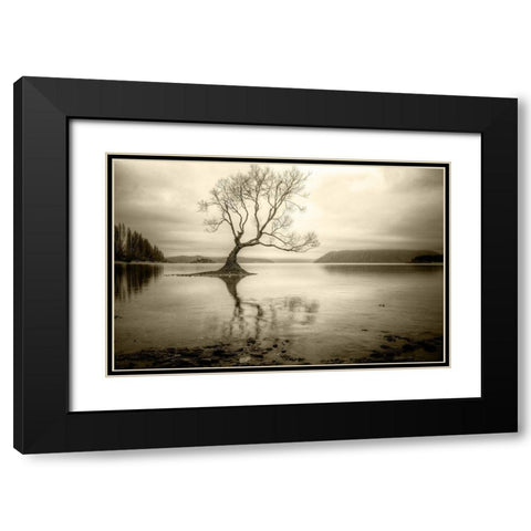 Lone Tree in a Lake Black Modern Wood Framed Art Print with Double Matting by Rushton, Ian