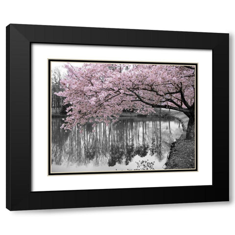 Violet Reflections II Black Modern Wood Framed Art Print with Double Matting by Anonymous