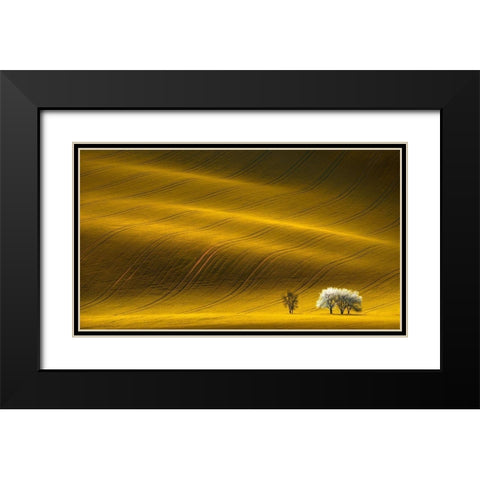 Majestic Field with White Trees Black Modern Wood Framed Art Print with Double Matting by Uladzislau, S.