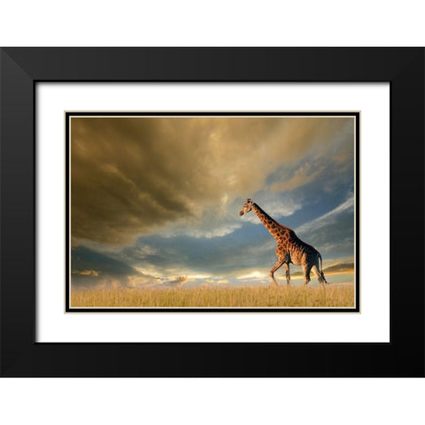 Giraffes, African Skies Black Modern Wood Framed Art Print with Double Matting by Anonymous