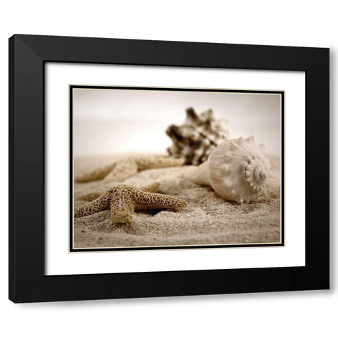 Seashells in the Sand Black Modern Wood Framed Art Print with Double Matting by Cunningham, S.