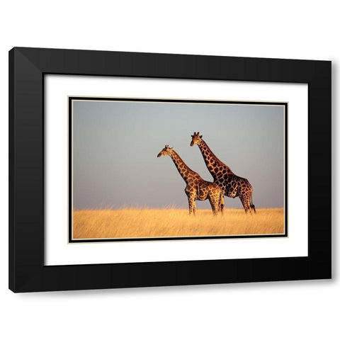 African Skies II Black Modern Wood Framed Art Print with Double Matting by Anonymous