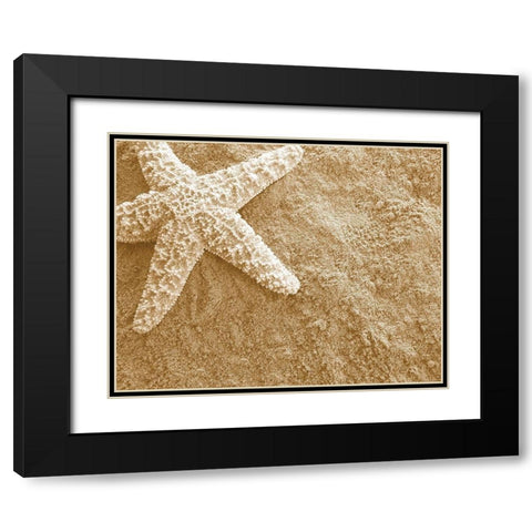 Starfish in the Sand Black Modern Wood Framed Art Print with Double Matting by Anonymous