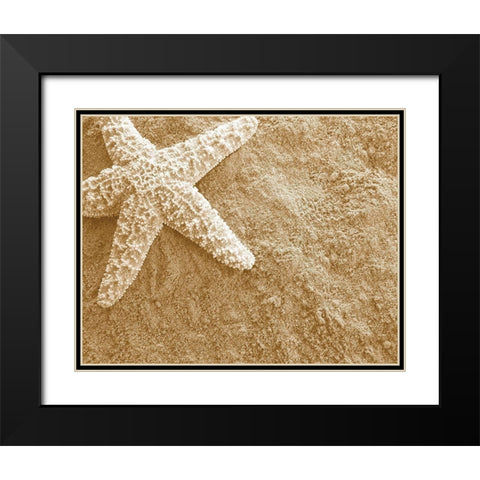 Starfish in the Sand Black Modern Wood Framed Art Print with Double Matting by Anonymous