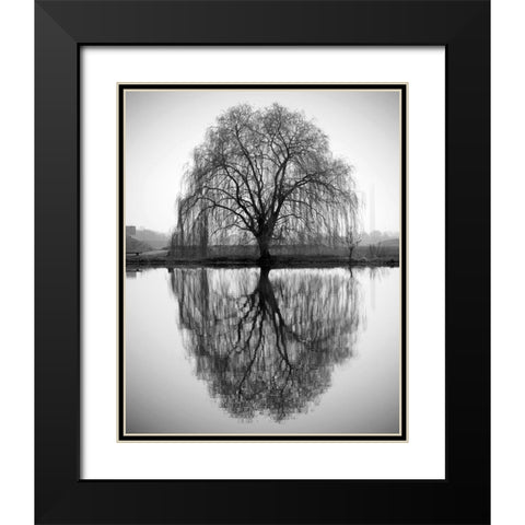 Majestic Willow Black Modern Wood Framed Art Print with Double Matting by Anonymous