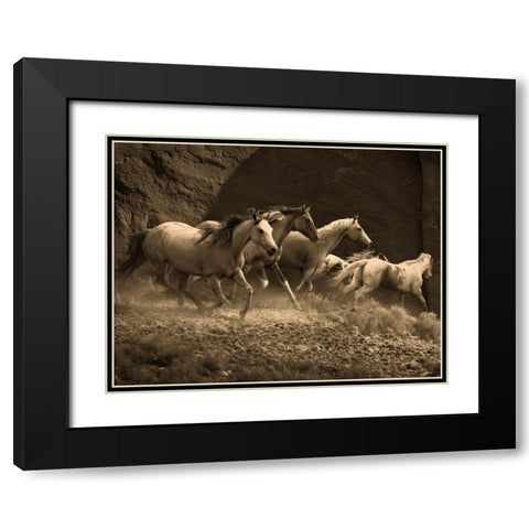 Wild Horses II Black Modern Wood Framed Art Print with Double Matting by Anonymous