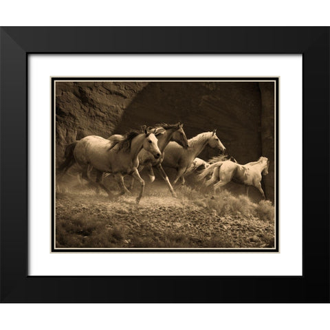 Wild Horses II Black Modern Wood Framed Art Print with Double Matting by Anonymous