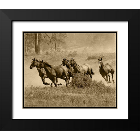 Wild Horses II Black Modern Wood Framed Art Print with Double Matting by Anonymous