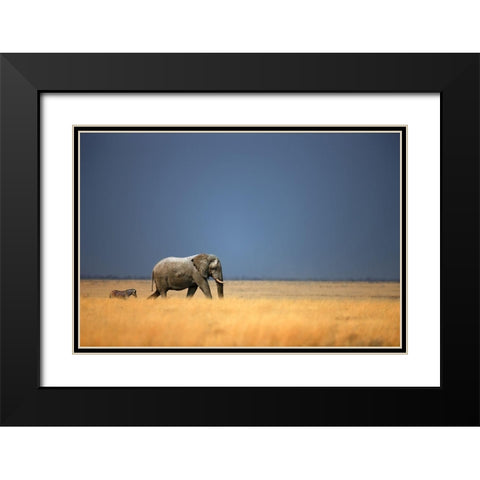 Follow the Leader, Color Black Modern Wood Framed Art Print with Double Matting by Gerhardus