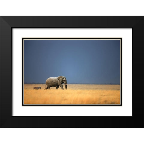Follow the Leader Black Modern Wood Framed Art Print with Double Matting by Gerhardus