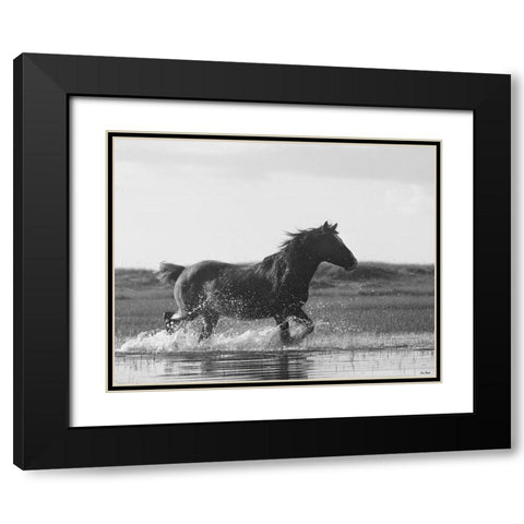 Run Like the Wind Black Modern Wood Framed Art Print with Double Matting by Turek, Eve
