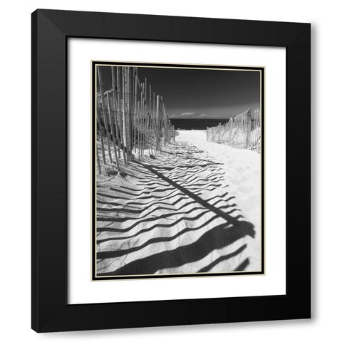 Shadowed Pathway Black Modern Wood Framed Art Print with Double Matting by Anonymous