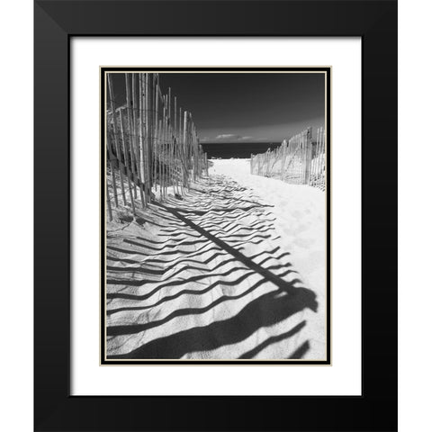 Shadowed Pathway Black Modern Wood Framed Art Print with Double Matting by Anonymous
