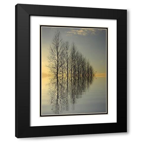 Reflections II Black Modern Wood Framed Art Print with Double Matting by Anonymous