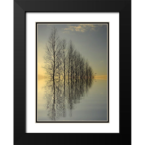 Reflections II Black Modern Wood Framed Art Print with Double Matting by Anonymous