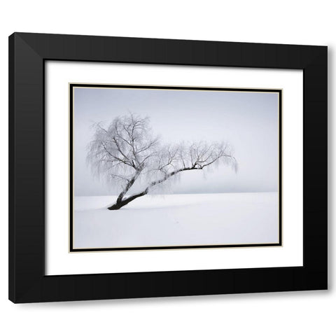 Solitude Black Modern Wood Framed Art Print with Double Matting by Anonymous