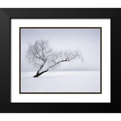 Solitude Black Modern Wood Framed Art Print with Double Matting by Anonymous