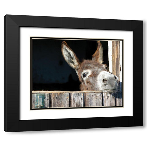 Whos There? Black Modern Wood Framed Art Print with Double Matting by Hawlan